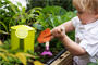 Atitudes ecol�gicas para crian�as